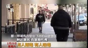 美国华人圈爆料事件视频,揭秘背后真相  第1张