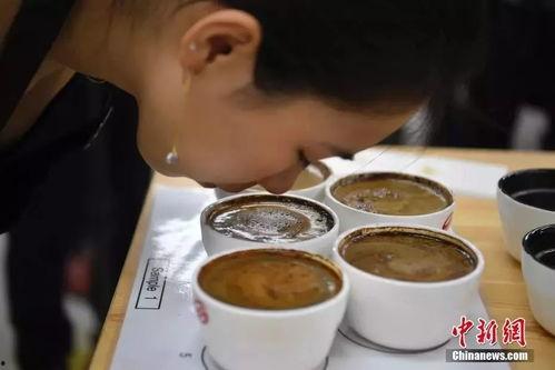 云南咖啡爆料视频播放,揭秘爆火视频背后的魅力与故事  第2张