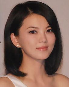 韩雪爆料李湘视频,揭秘娱乐圈背后的真相  第2张