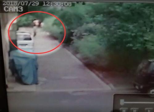 青岛女子爆料视频最新,揭露惊人真相！  第3张